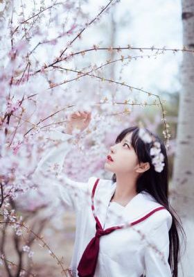 91精品国产高清极品美女_蓝光动漫免费观看